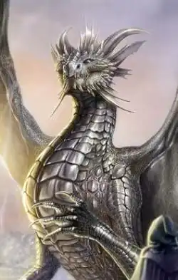 Silver Dragon